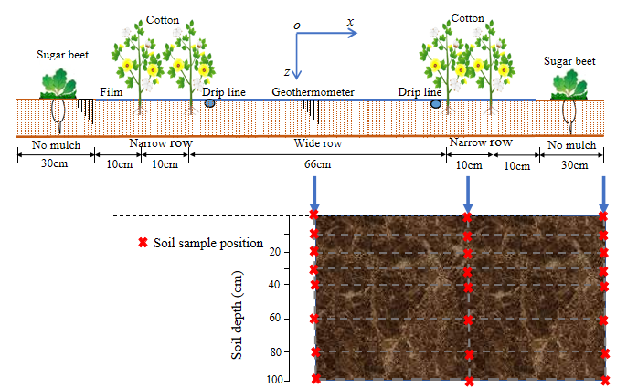 我院李毅研究员团队两项研究取得重要进展