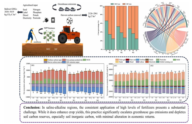 水建学院李毅课题组在滴灌棉花生长模拟及水肥效率提升方面取得新进展